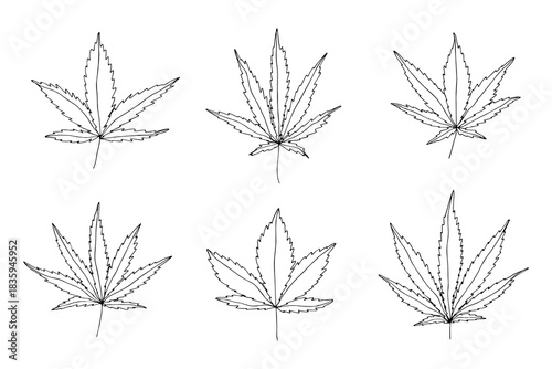 Set of hand drawn cannabis leaf Medicine marijuana Hemp leaves clipart in doodle style Single element for print, web, design, decor
