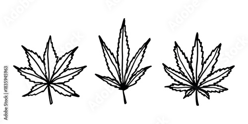 Set of hand drawn cannabis leaf Medicine marijuana Hemp leaves clipart in doodle style Single element for print, web, design, decor