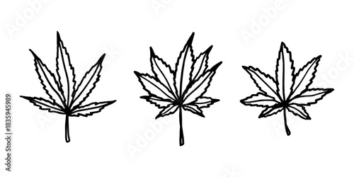 Set of hand drawn cannabis leaf Medicine marijuana Hemp leaves clipart in doodle style Single element for print, web, design, decor