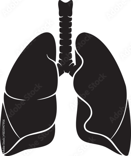 Black silhouette of human lungs and trachea on white background anatomy body