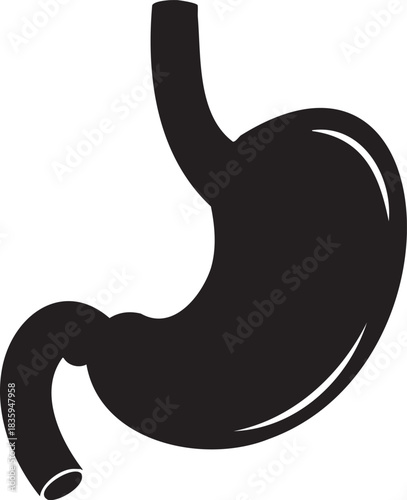 Black silhouette of human stomach organ on white background anatomy