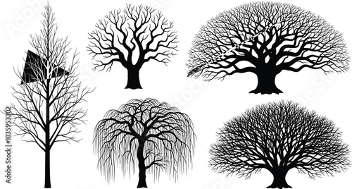 Tree silhouette illustration set, diverse branching and canopy concept vector, black and white graphic for nature, forest, and botanical themes