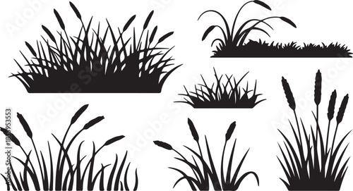 Collection of black and white silhouettes of various types of grass and reeds, perfect for natural designs