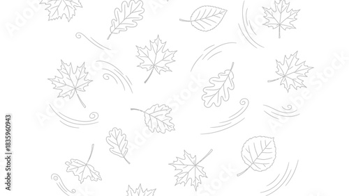 A delicate line drawing of various autumn leaves scattered across a white background with swirling wind patterns.