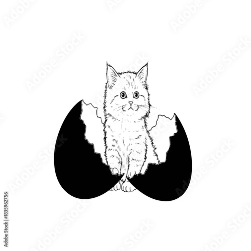 Cute kitten hatching from a cracked eggshell black and white illustration.
