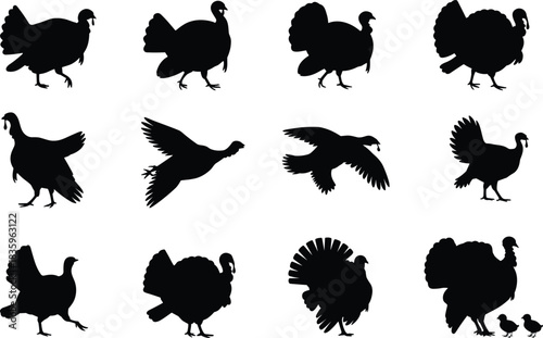 Turkey silhouettes collection with flying and walking poses, black vector bird set for Thanksgiving design, farm branding, wildlife illustration artwork