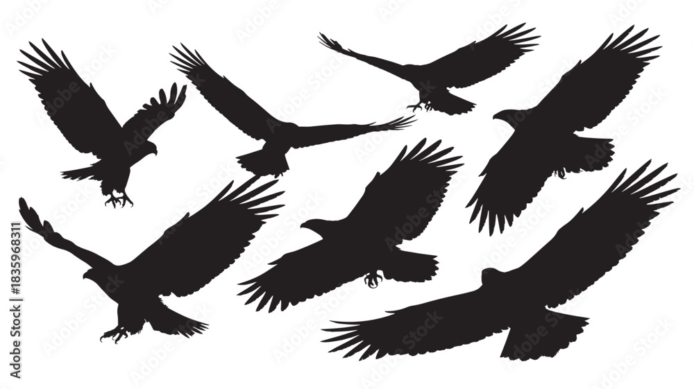 Obraz premium Set of eagle silhouettes in flight vector illustration of birds of prey wildlife concept for logo design and nature projects