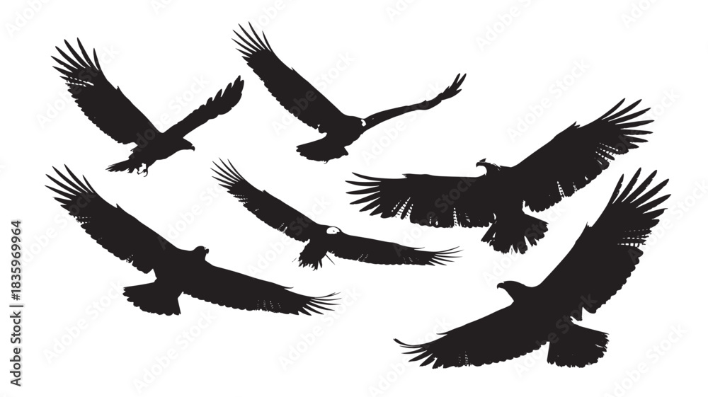 Fototapeta premium Set of eagle silhouettes in flight vector illustration of birds of prey isolated on white background