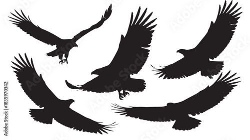 Flying eagle silhouette vector for logo design and wildlife emblem, black bird icon set