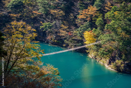 秋の寸又峡と夢の吊り橋