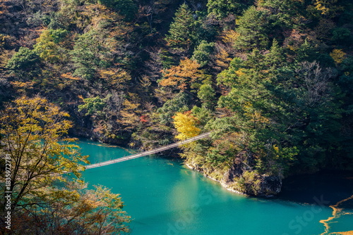 秋の寸又峡と夢の吊り橋