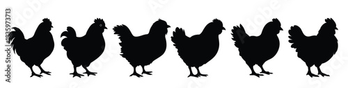  baby chicken silhouette clipart set