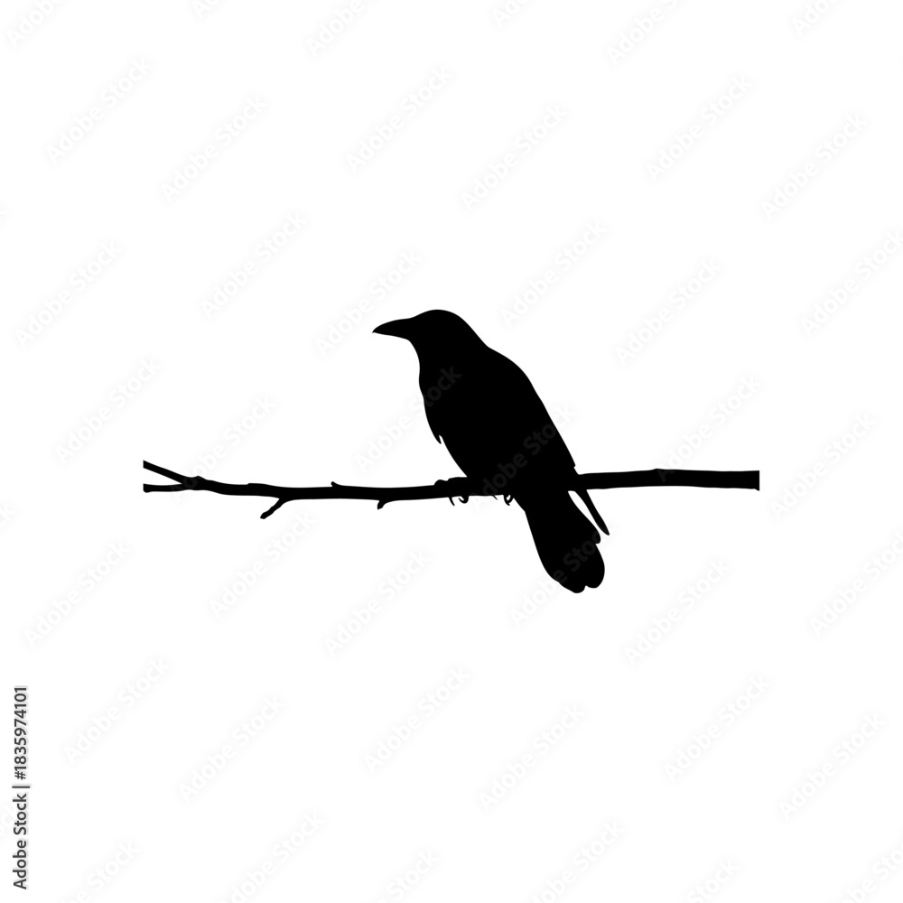 Obraz premium Black silhouette of a crow on a branch isolated on transparent background