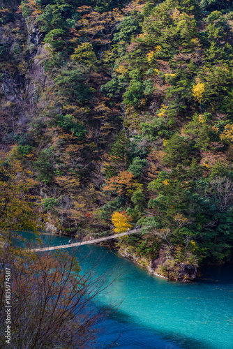 秋の寸又峡と夢の吊り橋
