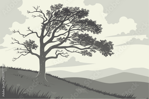 Solitary tree stands on a rolling hill under a vibrant sky