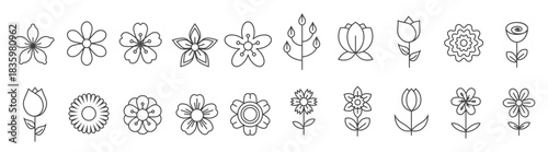flower icon set