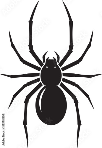 Black spider with eight legs isolated on white background, a creepy crawly insect with a round body