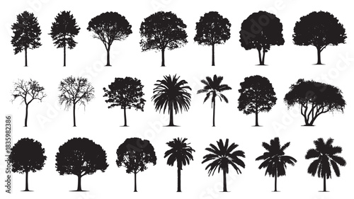 Set of tree silhouettes diverse forest tree collection vector illustration isolated on white background