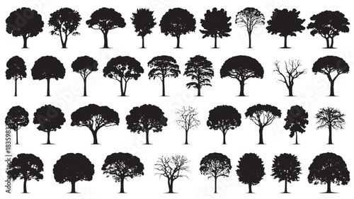 Collection of tree silhouettes diverse shapes and sizes vector design elements for landscaping and nature illustrations