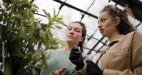 Young women engaged in conversation while exploring plants in a greenhouse garden center, sharing a moment of discovery and appreciation for nature