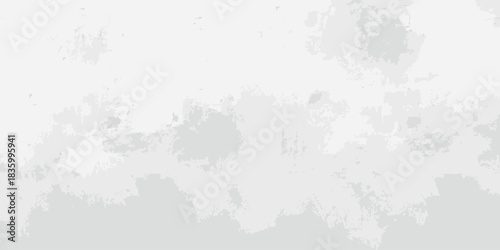 Abstract gray and white textured background with blurred shapes and indistinct formations