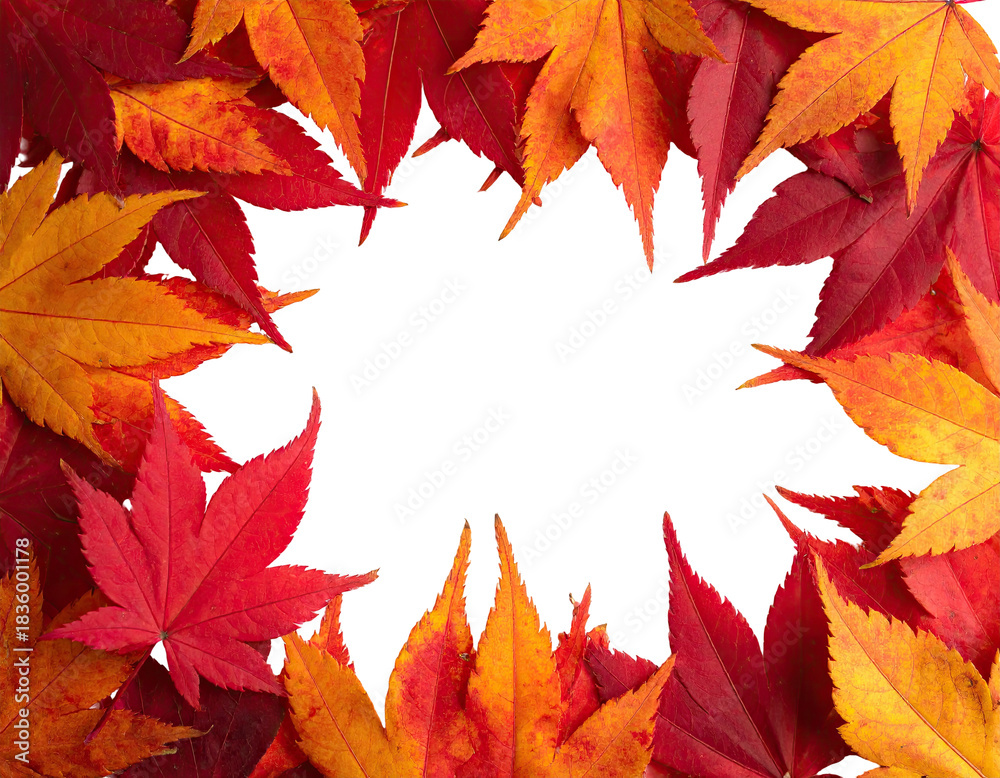 Fototapeta premium Frame of vibrantly colored autumn leaves, creating a circular border with a black center