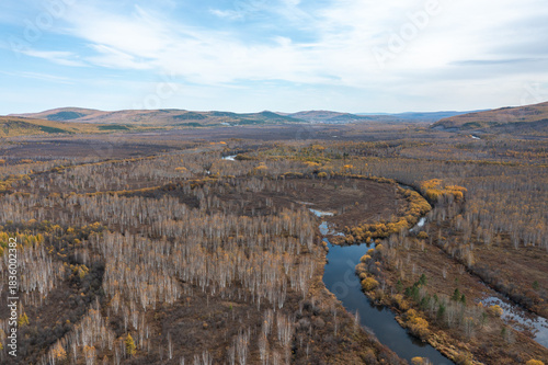 Aerial view of the autumn forest and river in the Shibawan scenic area of ​​Mohe, Greater Khingan Mountains.