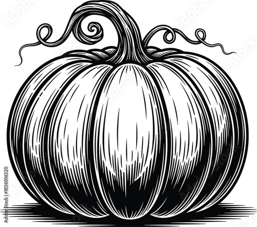 Highly Detailed Black and White Pumpkin Engraving with Curly Vines and Grooves, Perfect for Halloween, Autumn Harvest, and Traditional Woodcut-Style Fall Designs