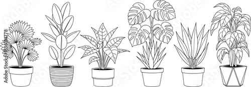 Modern indoor potted plant collection line art illustration, tropical houseplants in pots vector set for coloring pages, decor, wall art