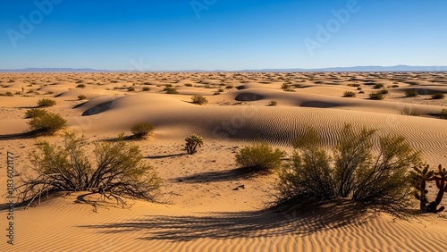 Sandy desert landscape under a clear blue sky, with scattered shrubs and rolling dunes