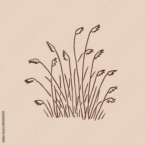 Grass, tufts greenery. Hand drawn vector illustration.
