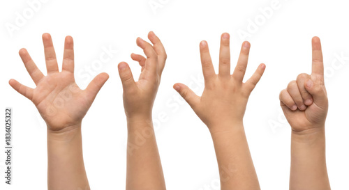Illustrative child's hands demonstrating counting concepts on a transparent backdrop, suitable for