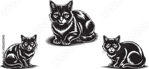 Black and white woodcut style vector illustration of three detailed sitting cats with fur texture line art ink drawing