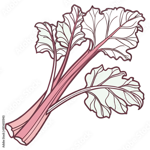 Tableau sur toile rhubarb vector