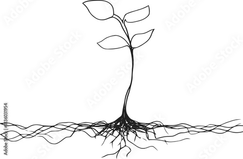 A simple black and white botanical illustration showcasing germination and new life emergence