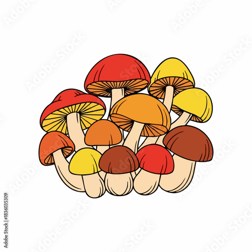 Mushrooms on white showcase mushroom illustration in warm shades for nature backgrounds. Presenting mushroom group, detailed with intricate gills and caps in autumnal colors,