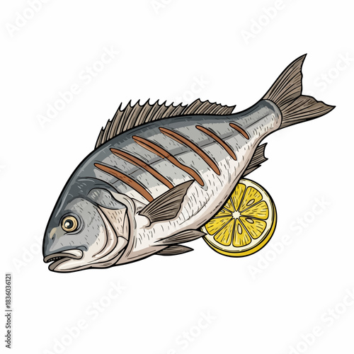 Fresh grilled fish illustration of sea bream with lemon, isolated on white background. Grilled fish includes detailed fin and scale texture with a vibrant lemon slice.