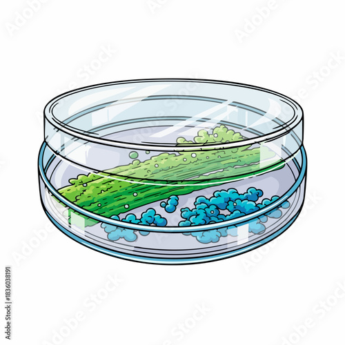 Petri dish experiment with culture of algae, blue particles in transparent dish. Petri dish analysis includes different forms of green algae, with tiny blue compounds in lab equipment.