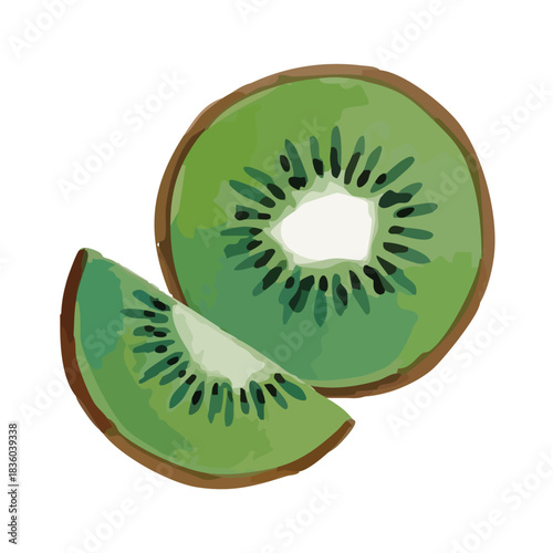Watercolor and print-style kiwi fruit illustration

