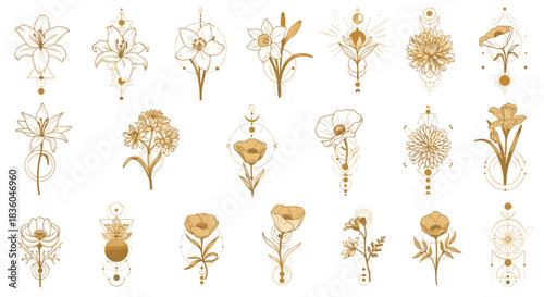 Mystical collection of golden birth month flowers with sacred geometry elements including lily poppy and chrysanthemum for tattoo designs.