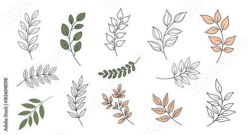 A beautiful set of hand-drawn tree branches with leaves in various styles including line art and soft color palettes.