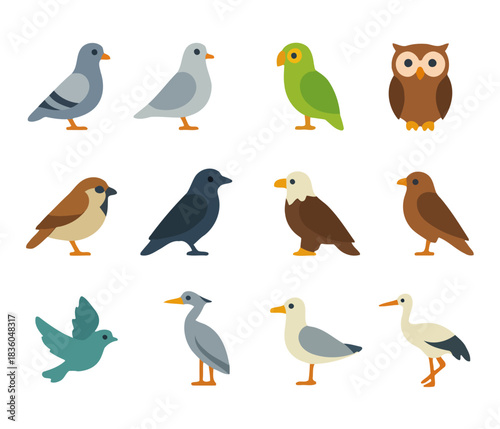 Avian Diversity: A vibrant illustration showcasing a collection of bird species, each uniquely rendered with colorful plumage, presenting the delightful array of avian life.