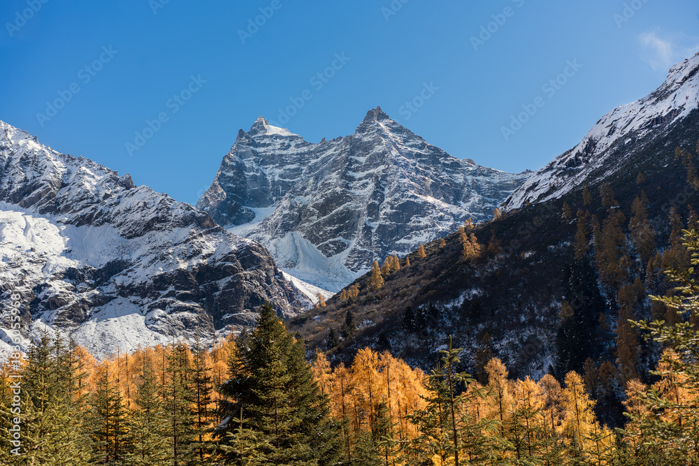 Fototapeta premium mount rainier national park