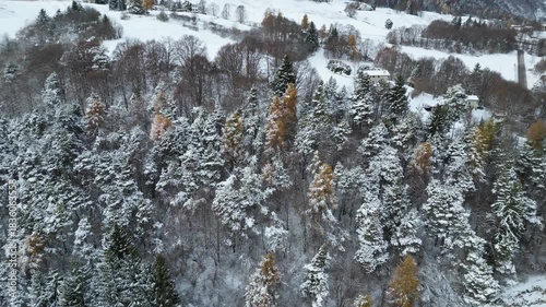 Aerial drone footage near Rifugio Graziani under Monte Altissimo: snowy peaks, white forests and alpine winter scenery. Ideal for travel, nature and mountain stock footage.