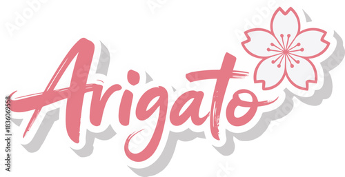 Arigato Japanese Thank You Typography Vector Design with Cherry Blossoms and Elegant Handwriting Style