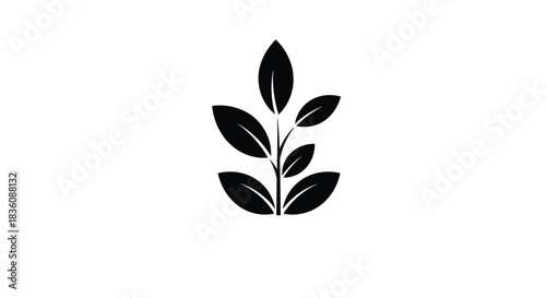 Minimalist black silhouette icon of a plant with multiple leaves on a single stem isolated on a plain white background.