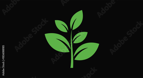 A simple flat graphic of a green plant sprout with several leaves is displayed centrally against a solid contrasting black background.
