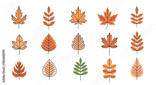 A collection of fifteen autumn leaves is displayed in various shapes and orange tones with some simple line art details on white.