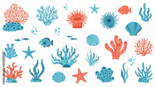 Colorful cartoon illustration of coral fish starfish and other sea life