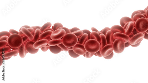 Photos Red blood cells isolated on transparent background PNG, microscopic view of eryt